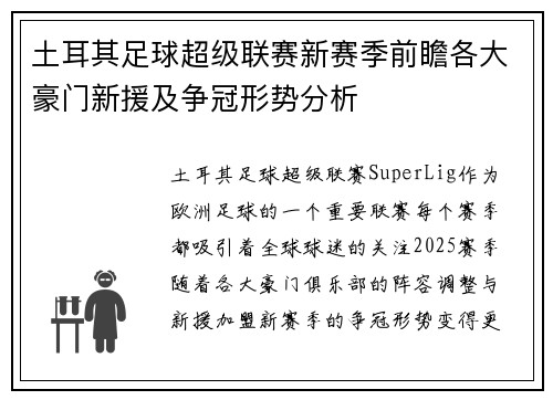 土耳其足球超级联赛新赛季前瞻各大豪门新援及争冠形势分析